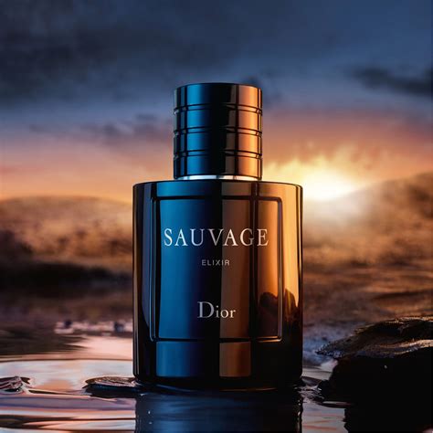 sauvage dior elixir uomo|sauvage dior elixir 100ml price.